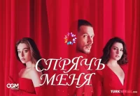 Спрячь меня смотреть онлайн сериал 1 сезон